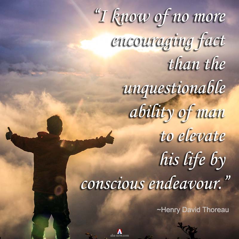 I know of no more encouraging fact than the unquestionable ability of man to elevate his life by conscious endeavor